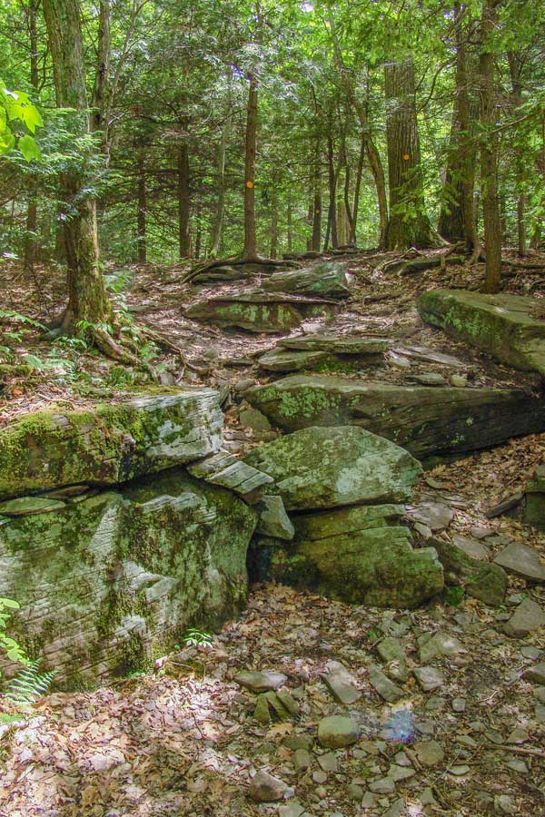 hill after crossing Hell's Hole Creek