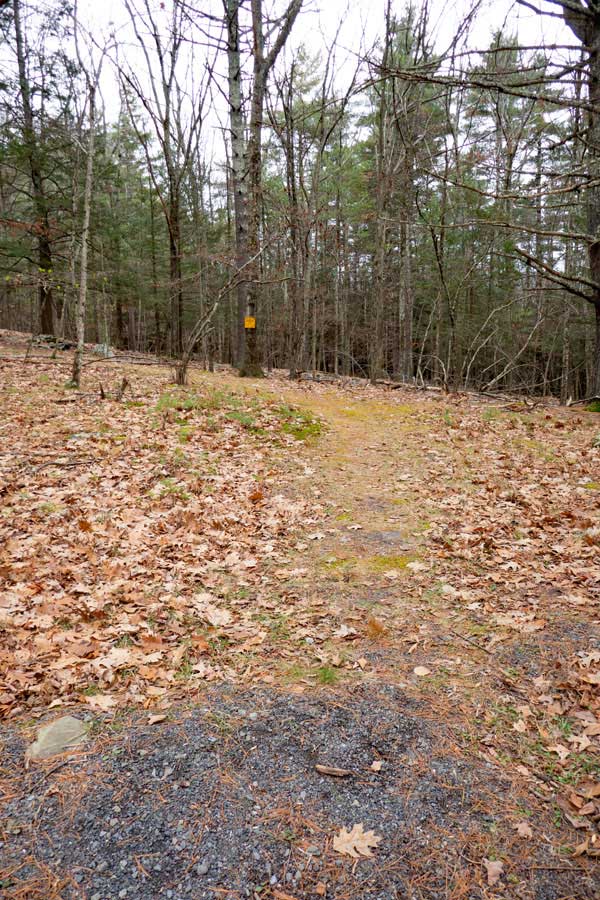 beginning of the Beetree Hill trail from the Beetree Hill parking area