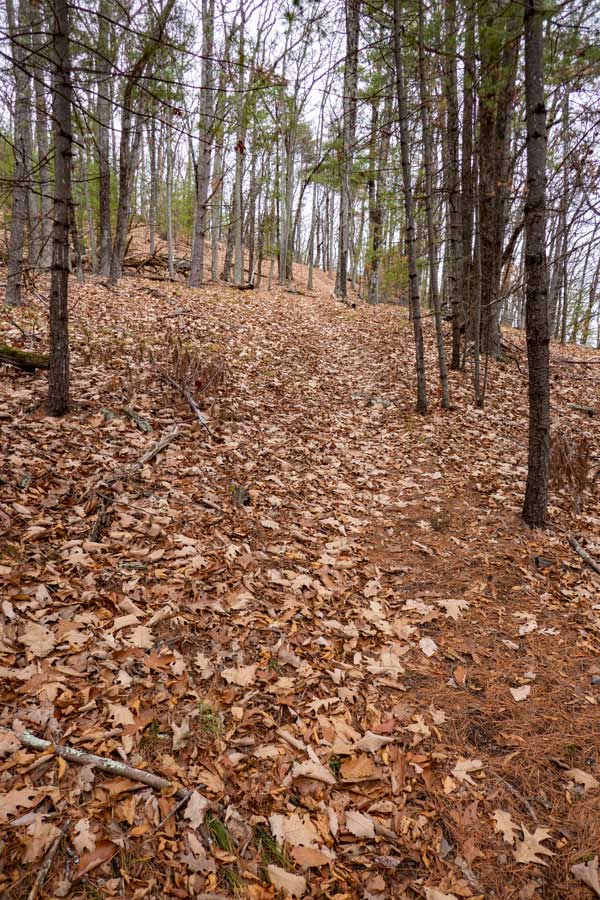 moderate incline part way up the Beetree Hill Trail