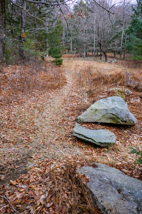 trailhead to mount tobias