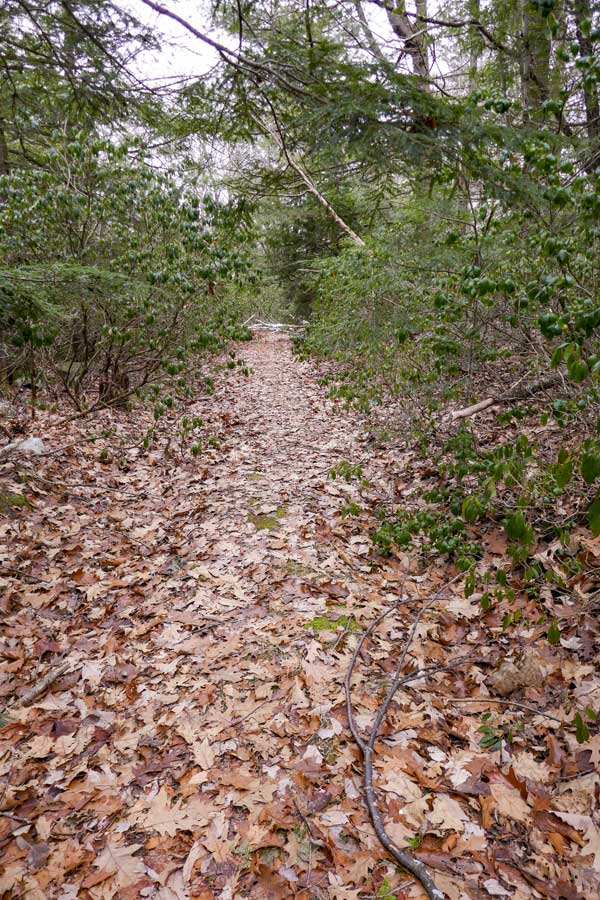 DEC parking area for hike to Mt Tobias