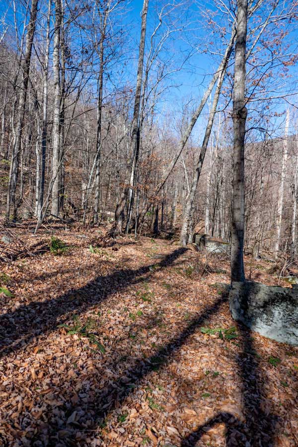 upper section of the Willow Trail