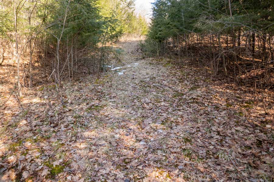 narrow section of the DEP road