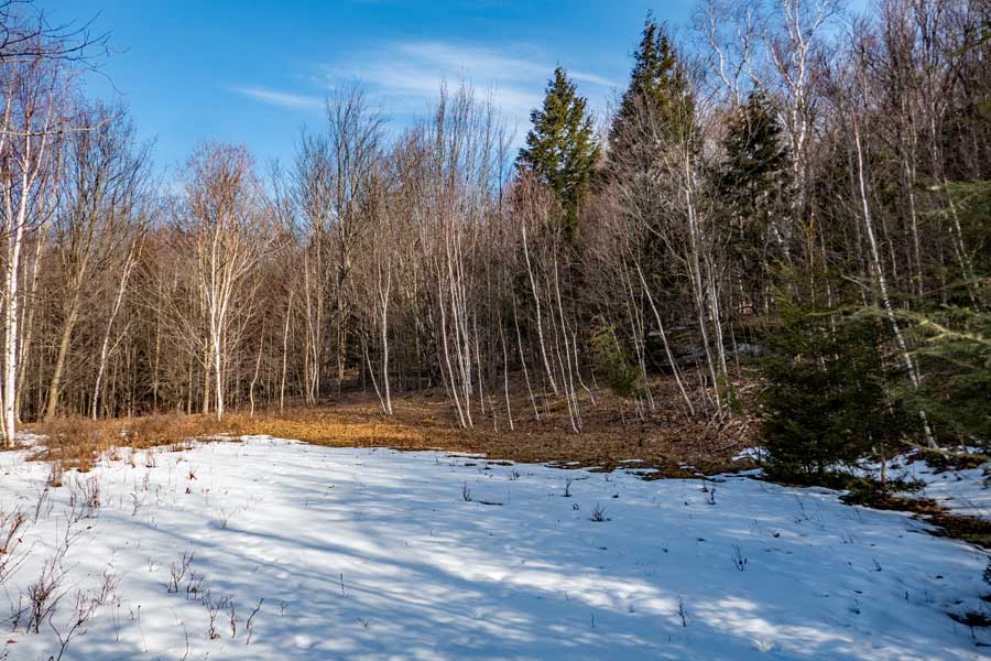 opening at the end of the dep land to Ashland Knob