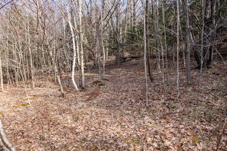 Final part of the DEP road to Ashland Knob
