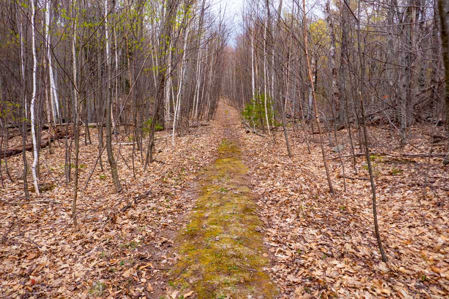 Part way up the West Cave Trail to the summit of West Cave Mountain