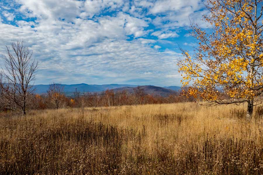 West Cave Field View Point on a Fall day to mountains south of Pisgah mountain range