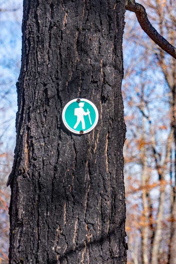 beginning of the Cave Mountain Trail Trail