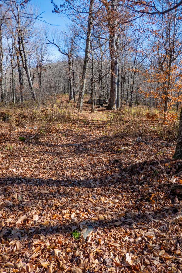 The Peak-to-Peak Trail going to the summit of Cave Mountain
