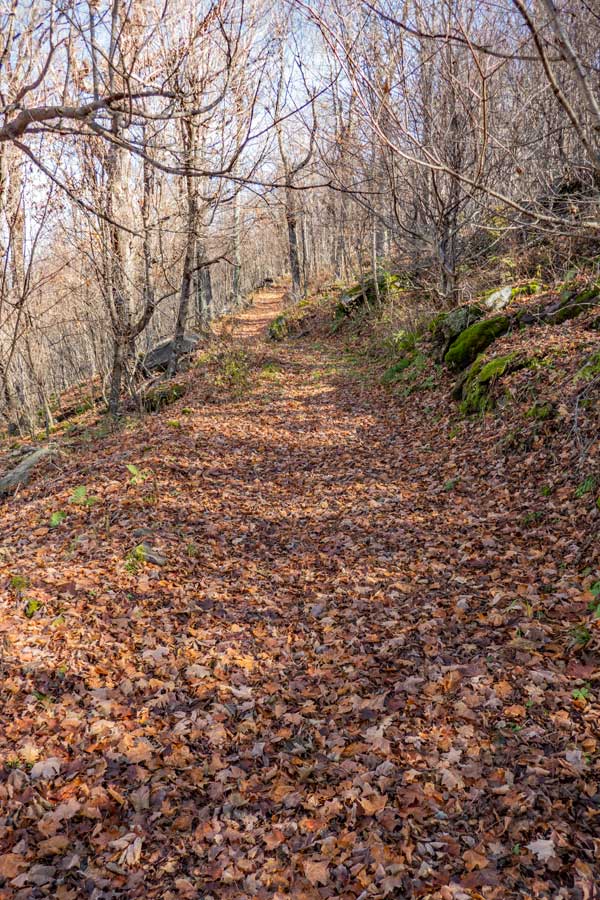 the Peak-to-Peak Trail incline will increase as you climb up Cave Mountain