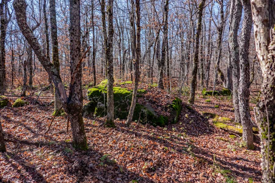 Summit of Cave Mountain