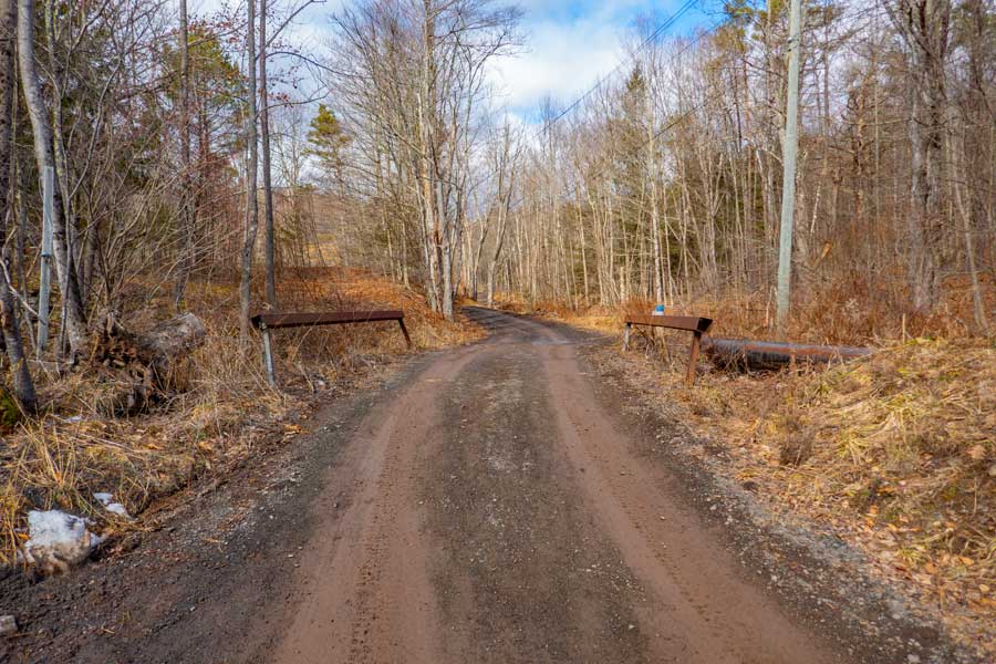 DEC road leading up to the Pine Hill pump house