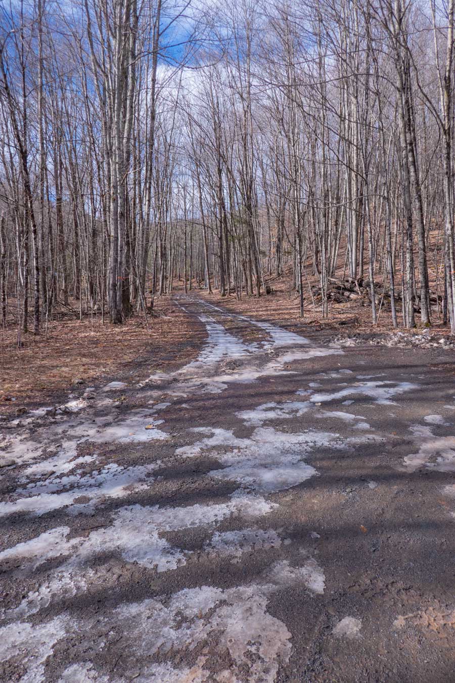 railroad tracks that run through Pine Hill