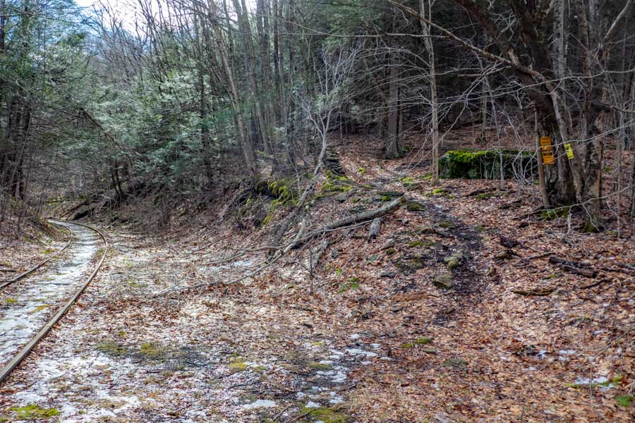 hiking along the railroad tracks on the Cathedral Glen Trail
