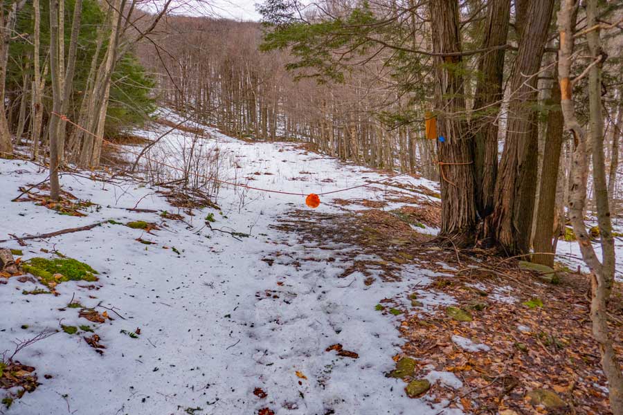 Belleayre ski slopes on the Cathedral Glen Trail