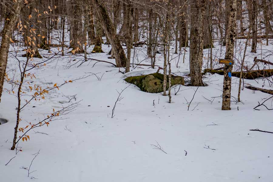 upper part of the Cathedral Glen Hiking Trail