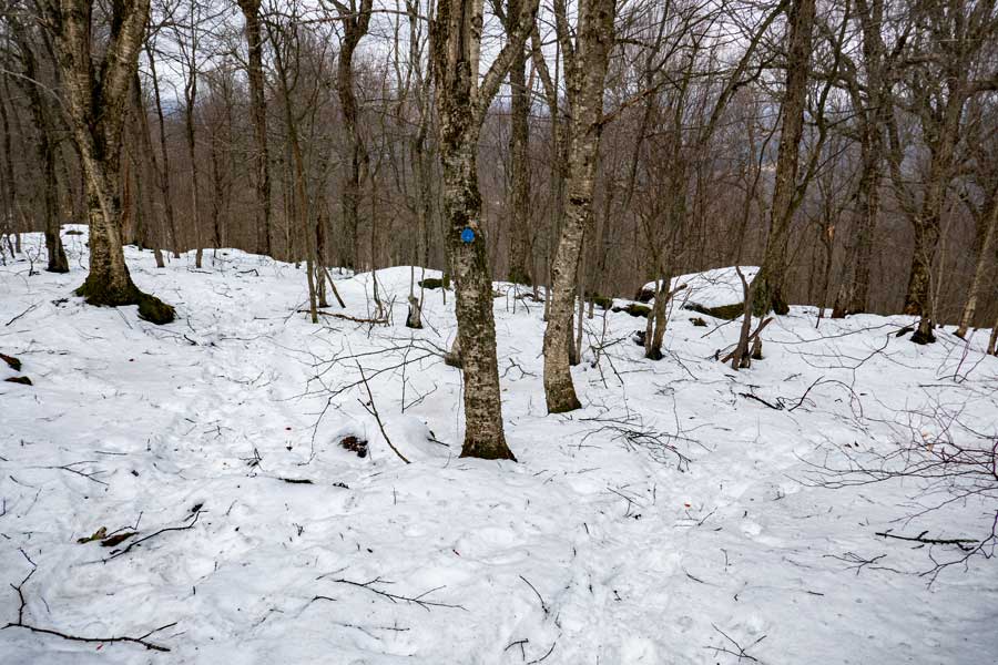 approach to belleayre ridge on the cathedral hollow trail