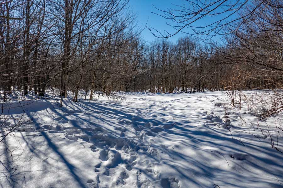 Summit of belleayre mountain and trail junction for balsam mountain, belleayre ridge, and woodchuck hollow trail