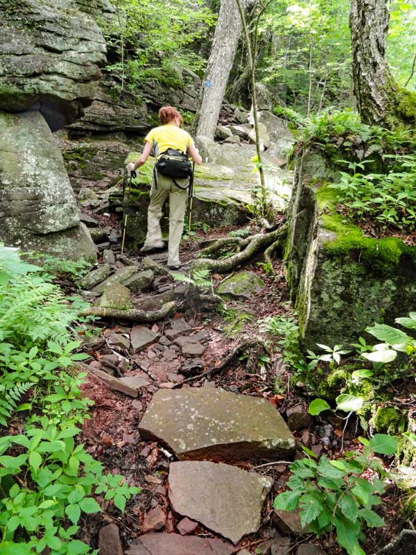 steep section of the curtis-ormsbee trail