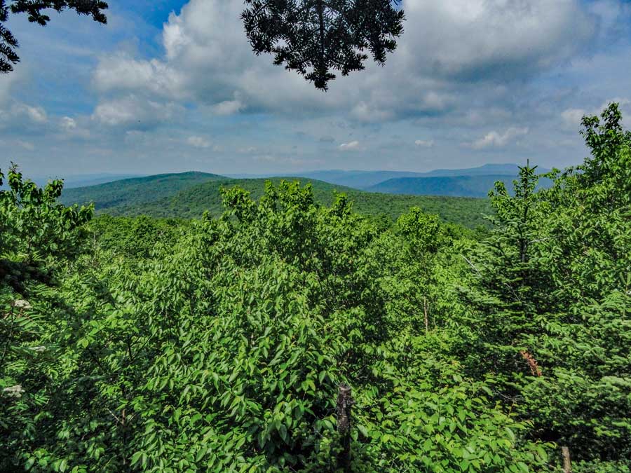 view point #1on the curtis-ormsbee trail