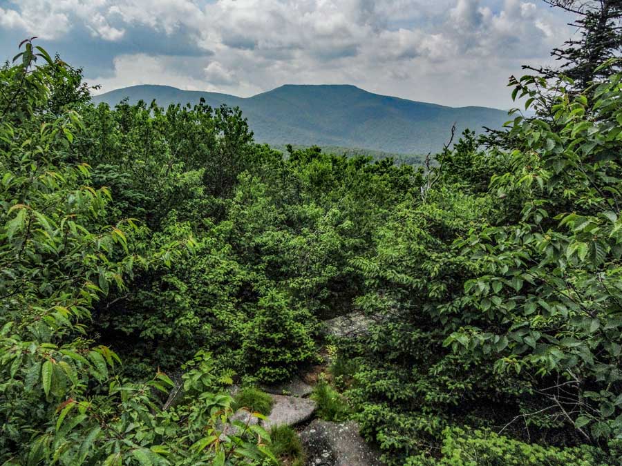 view point #2 on the curtis-ormsbee trail