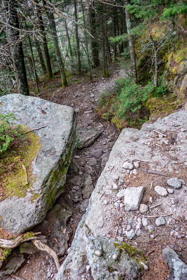 trail down the east side of Slide Mountain