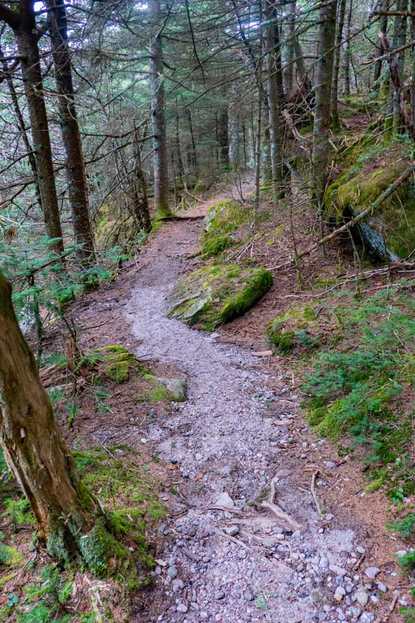 short flat easy section of the trail down the east side of Slide Mountain