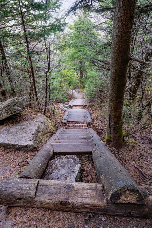 three sections of stairs on the east side of Slide Mountain