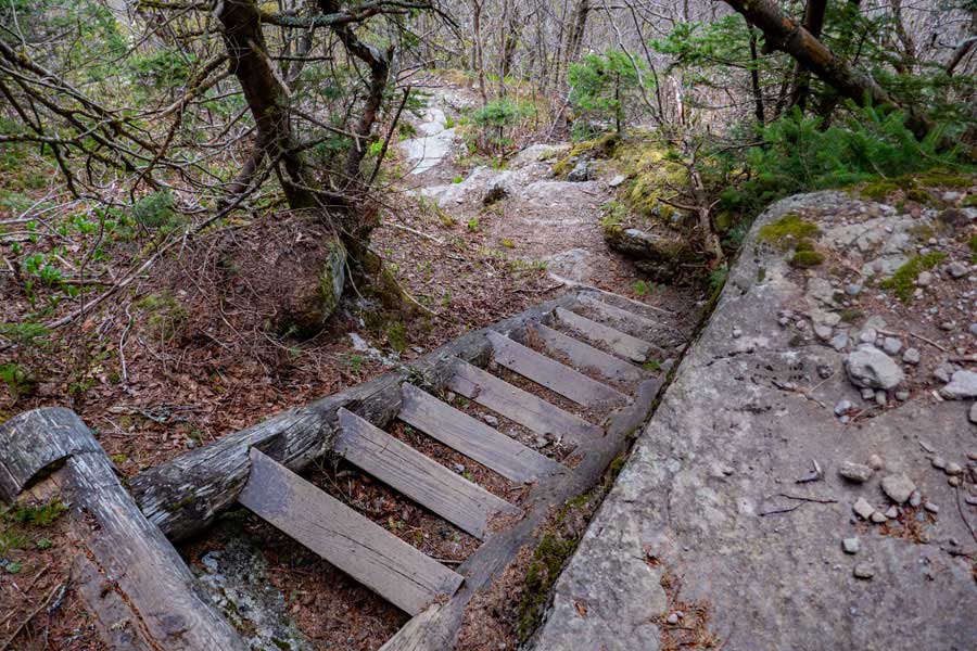 second section of stairs on the east side of Slide Mountain