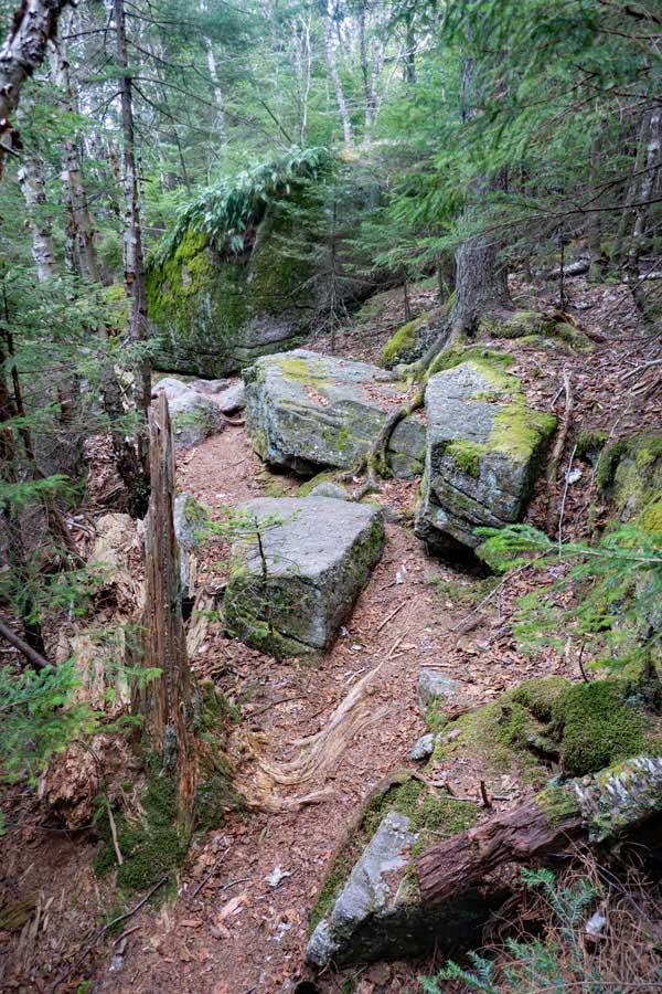 trail approaching the base of Cornell Mountain