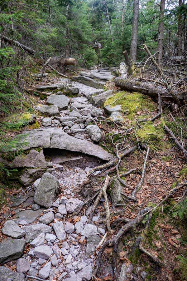 trail starts to get rocky as you climb up Cornell Mountain