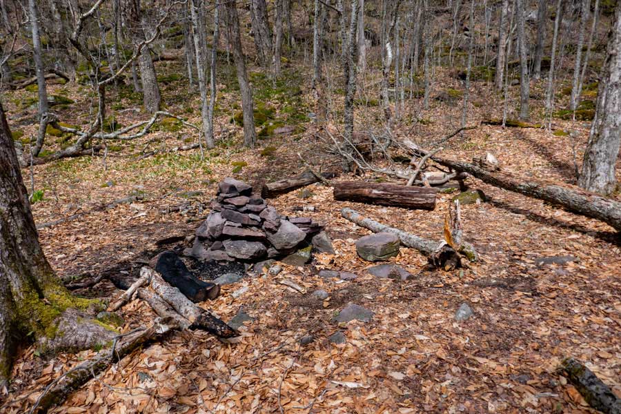 primitive campsite by the Curtis Ormsbee Trailhead
