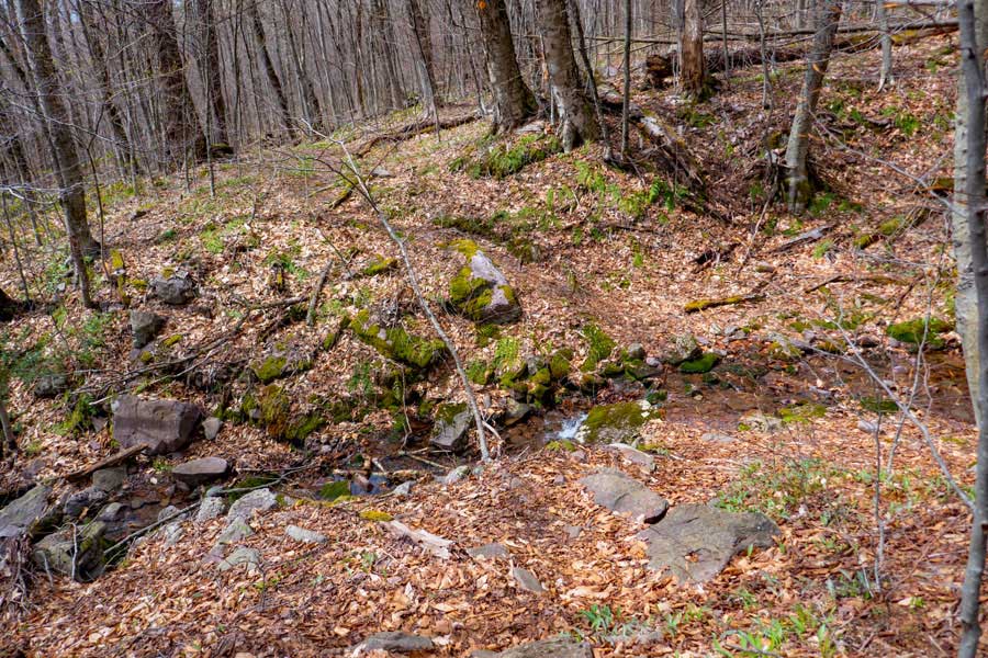 water source on the trail down into the Neversink Valley