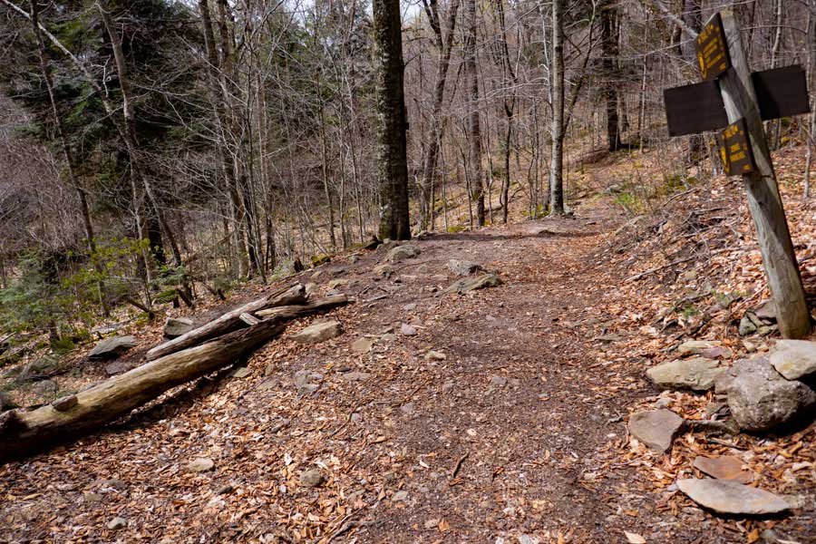 Trail junction to Peekamoose-Table Trail