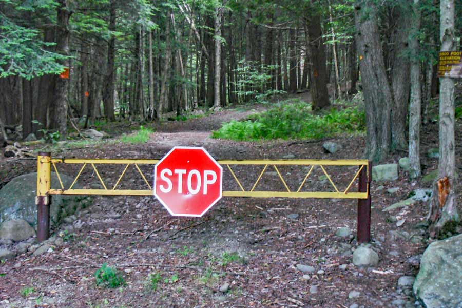 end of the phoenicia east branch trail at the denning parking area