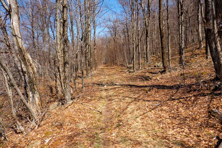 The Winnisook Trail is a 2-track trail that used to be a logging road.