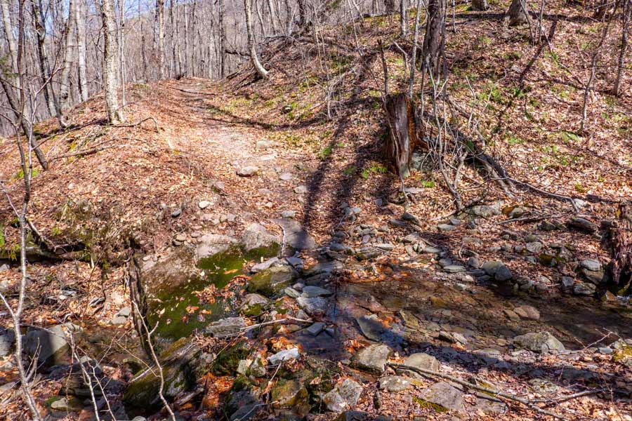water crossings on the Winnisook Trail