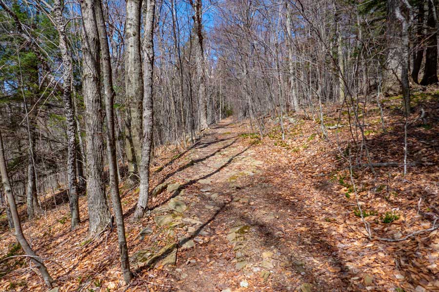 leave the Phoenicia East Branch Trail and continue on the Giant Ledge - Panther - Fox Trail