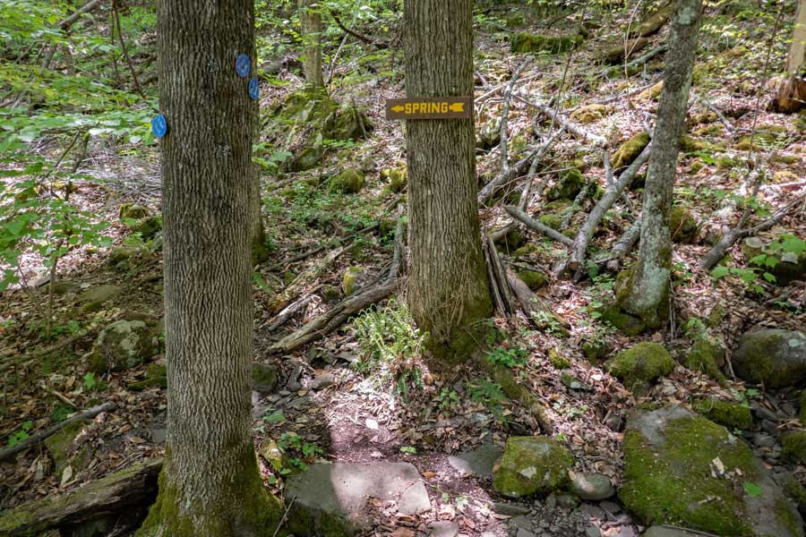 trail to spring to obtain water at the beginning of the Phoenicia East Branch Trail