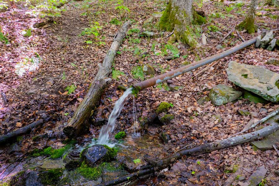 spring 1/2 mile from the trail head to Romer Mountain 