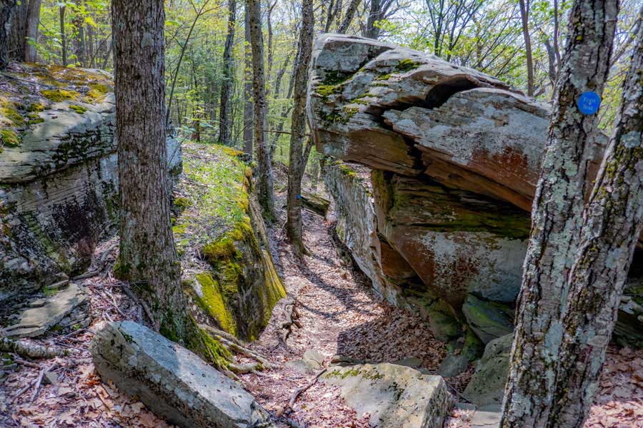 unique rocks on the side of the trail to romer mountain