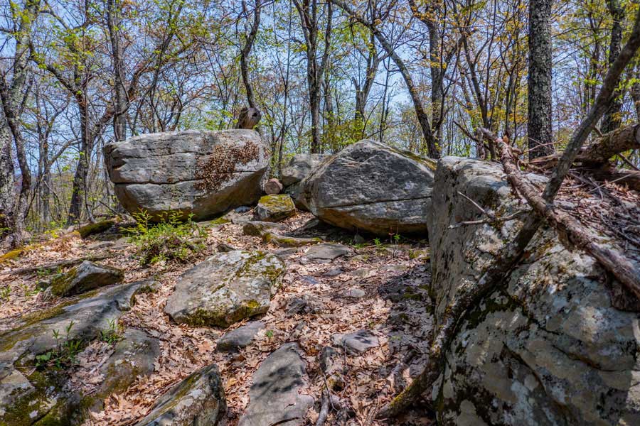 View spot on Romer Mtn in the slide mountain wilderness
