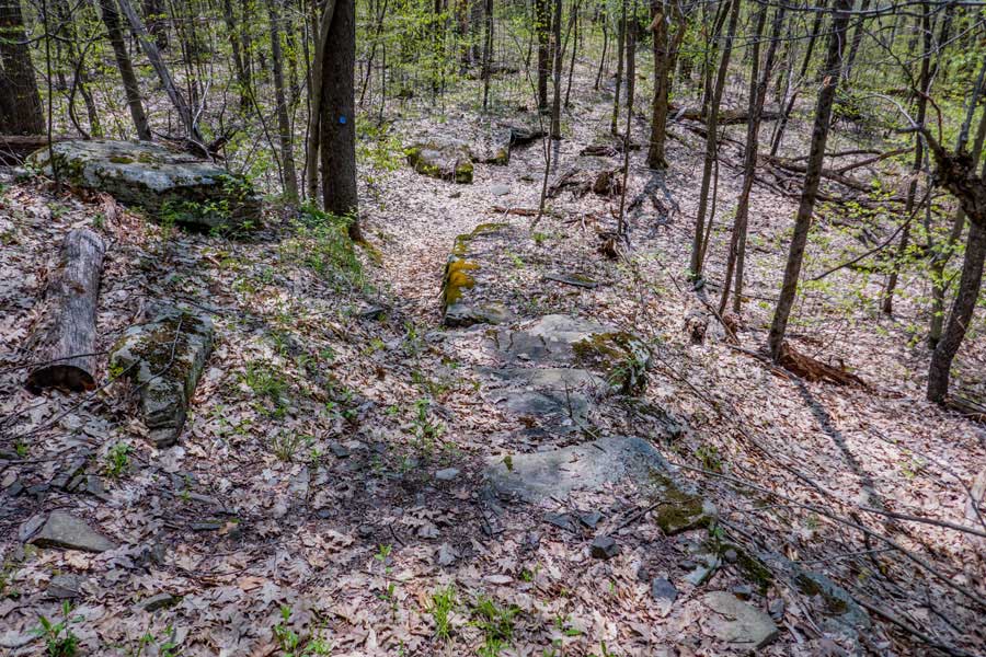 trail off the south side of Romer Mountain that goes to mt pleasant