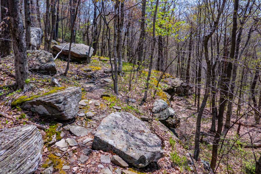 trail along the edge of a ledge while approaching Mt Pleasant in the slide mountain wilderness