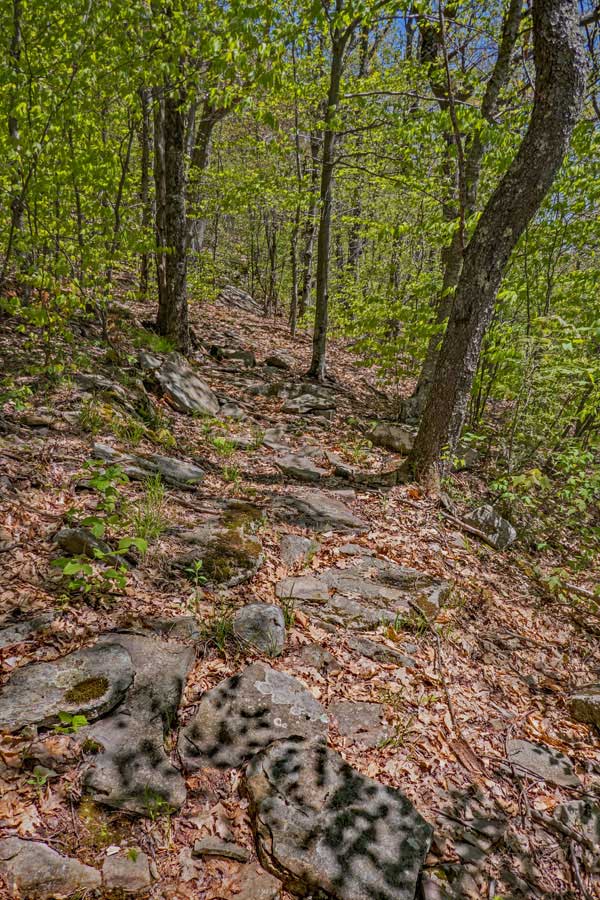 trail continues to wrap around Mt Pleasant