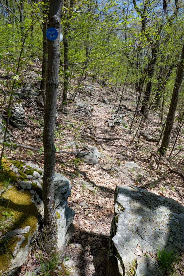 trail continues on the north side of Mt Pleasant in the slide mountain wilderness