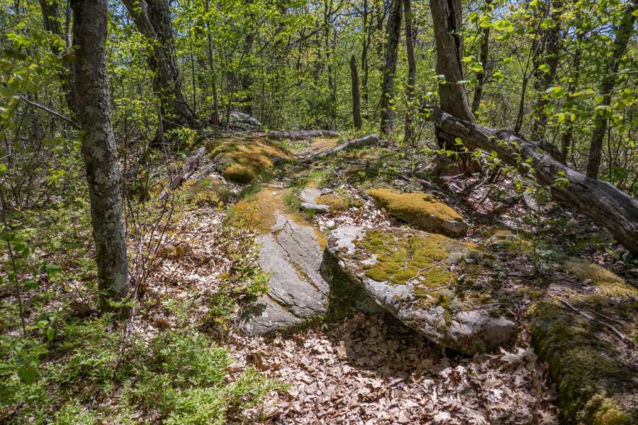 bluestone slab on ridge between mt pleasant and cross mtn  