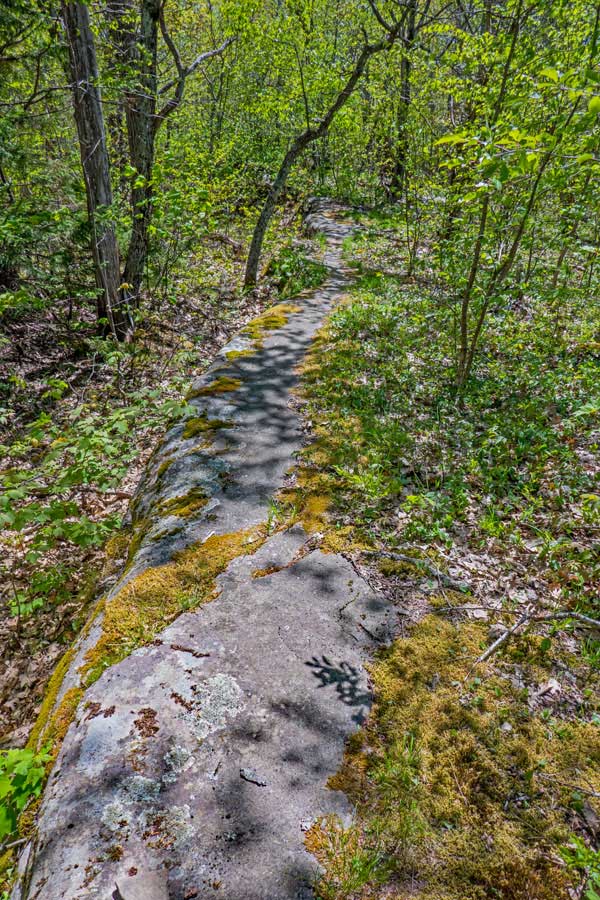 bluestone slab on ridge between mt pleasant and cross mtn 