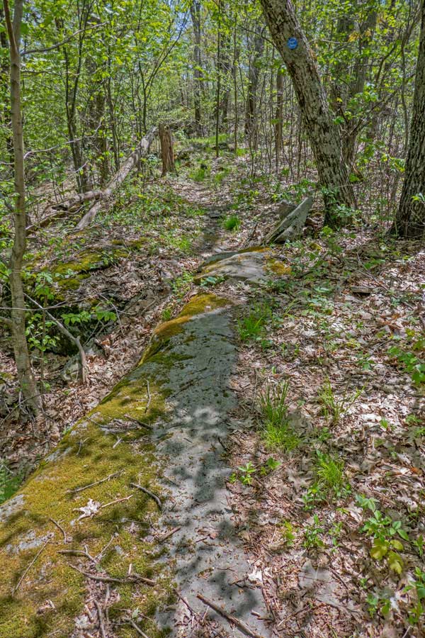bluestone slab on ridge between mt pleasant and cross mtn 