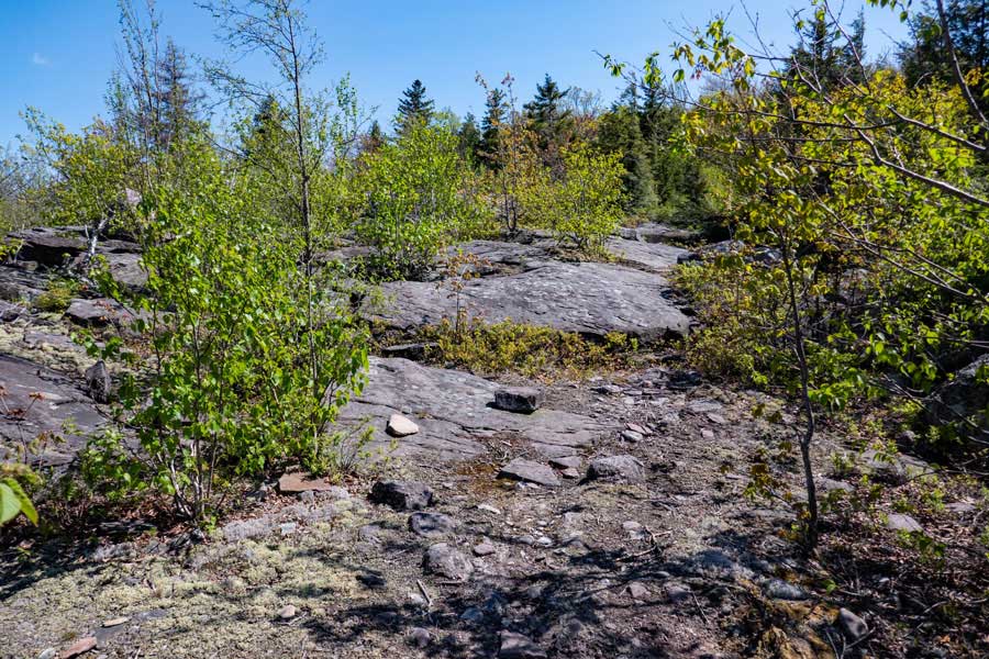 bottom of the giant bluestone slab at the base of wittenberg mountain